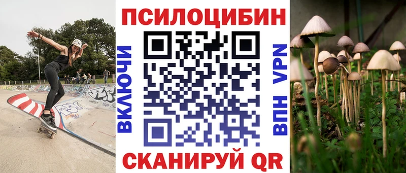 Псилоцибиновые грибы Psilocybine cubensis Североуральск